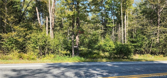 State Route 42, Grahamsville