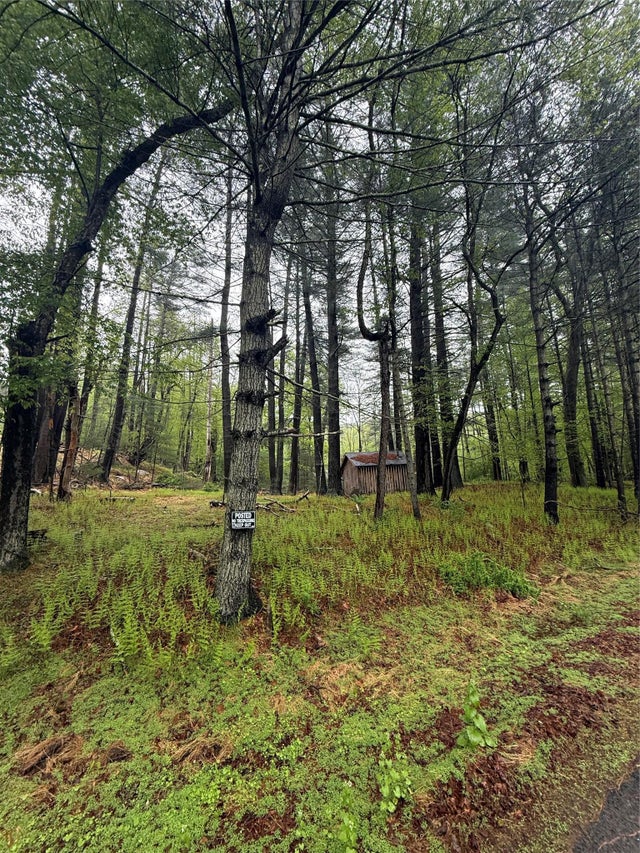 Hankins, Narrowsburg