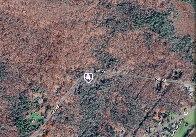 Dill Road, Forestburgh