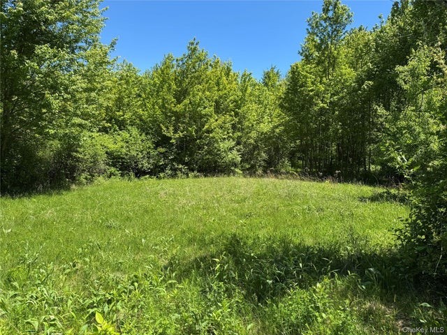 Parcel 1 - Tbd Woodstock Road, Millbrook