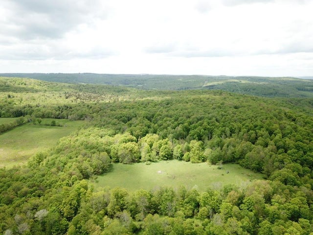 Dubois, Livingston Manor