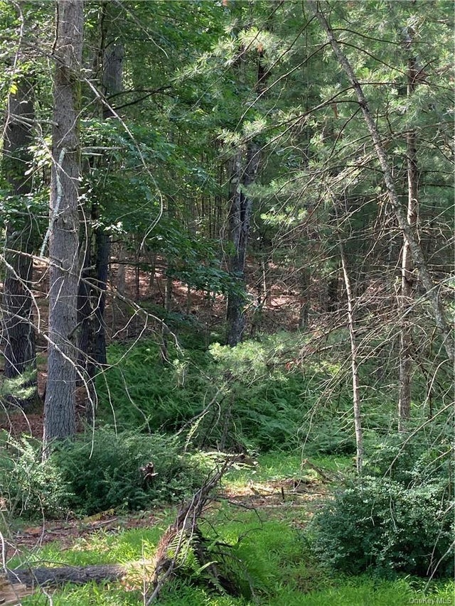 Irishtown Road, Narrowsburg