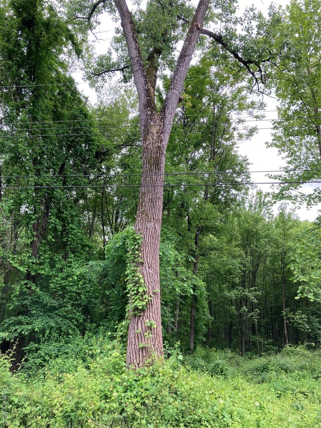 30 Luty Drive, Hyde Park