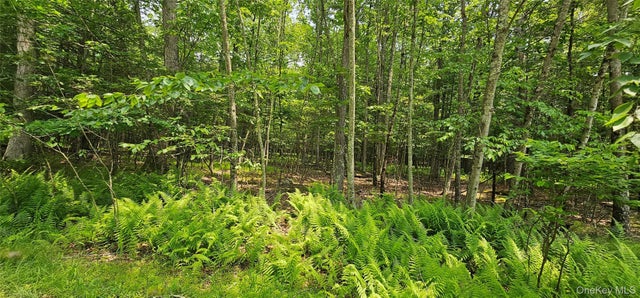 Lot 3 Woods Road, Barryville