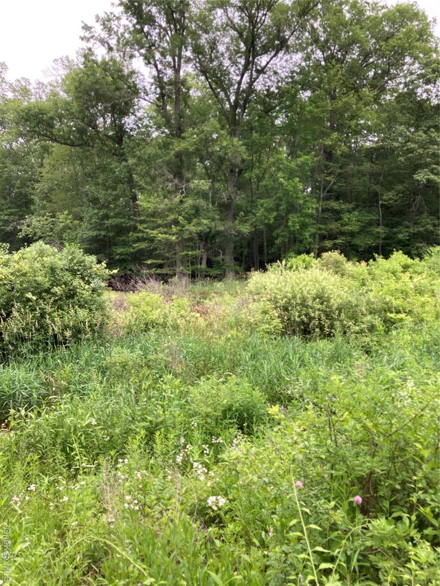 Photo of Listing #877833