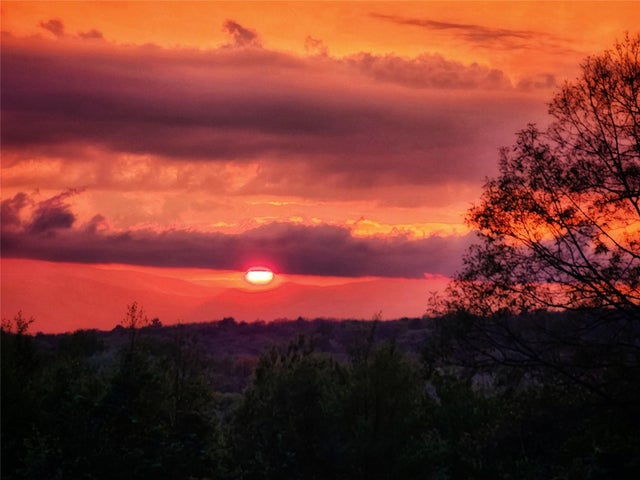 Willow Glen Road, Red Hook