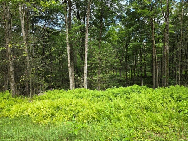 Gregory Road, Monticello