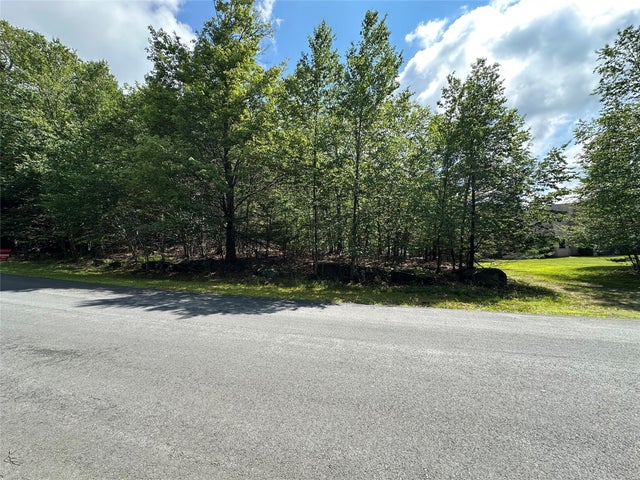 Rt-17b, Mongaup Valley