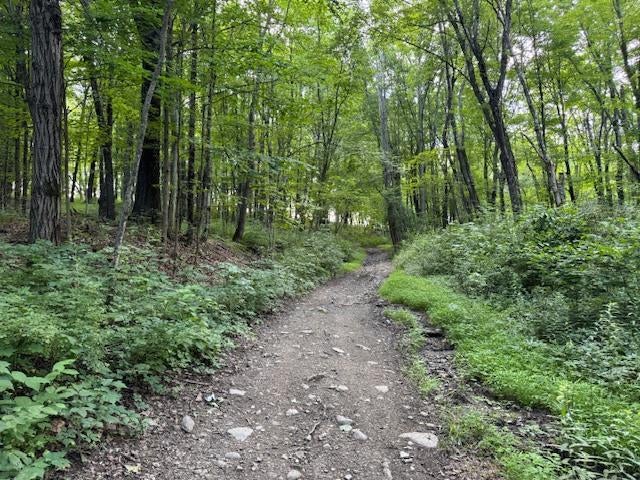 Manor Drive W & Arlene Road, Lagrangeville