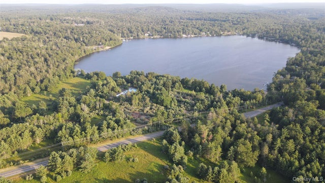 324 Acres Sackett Lake Road, Monticello