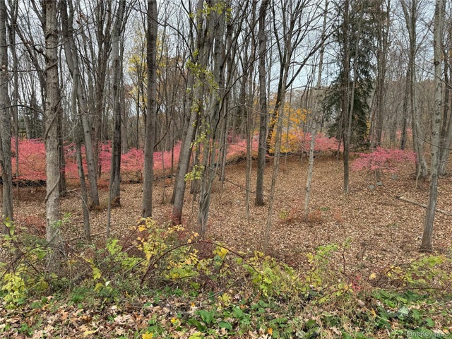 334 Bedford Banksville Road, Bedford