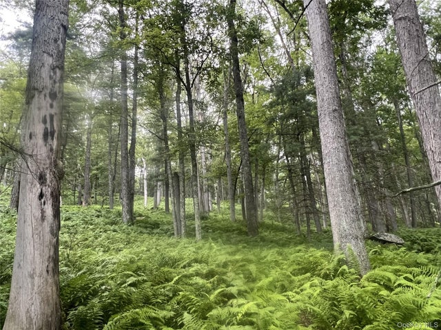 259 Lackawaxen Road, Narrowsburg