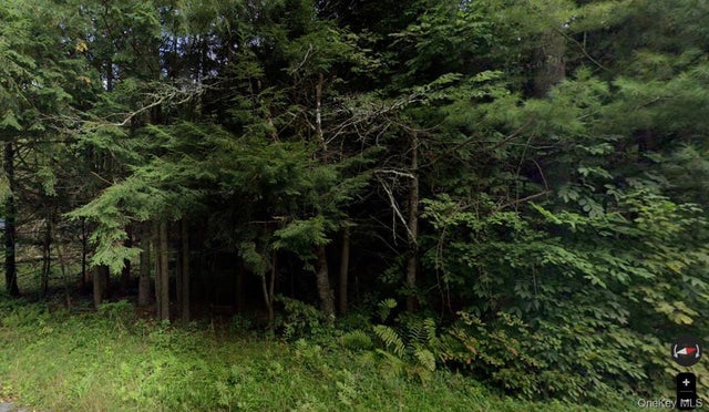 191 Elm Hollow Road, Livingston Manor