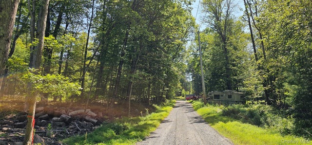 Lot 50 Deep Hollow Hill Road, Narrowsburg
