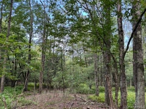 113 Moore, Woodbourne