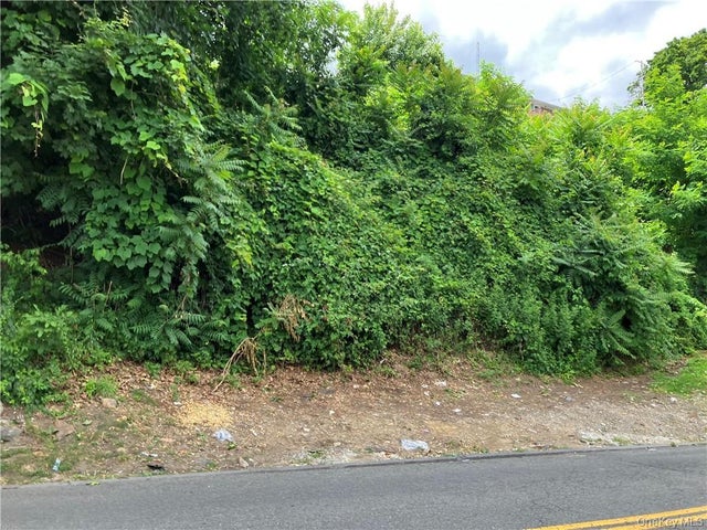 127 -133 Frederic Street, Yonkers