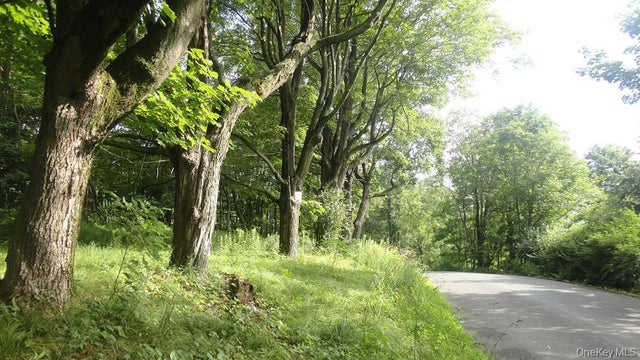 Henry Road, Cragsmoor