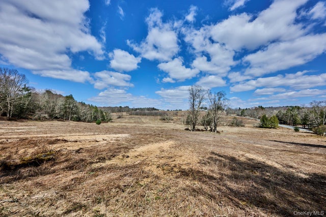 Lot 17.9 Shortcut Road, Cochecton