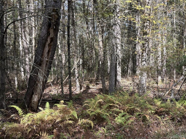 17 Lot 17 Desmond Crossing, Bethel