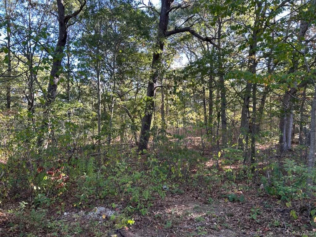 Old Medford Avenue, Medford