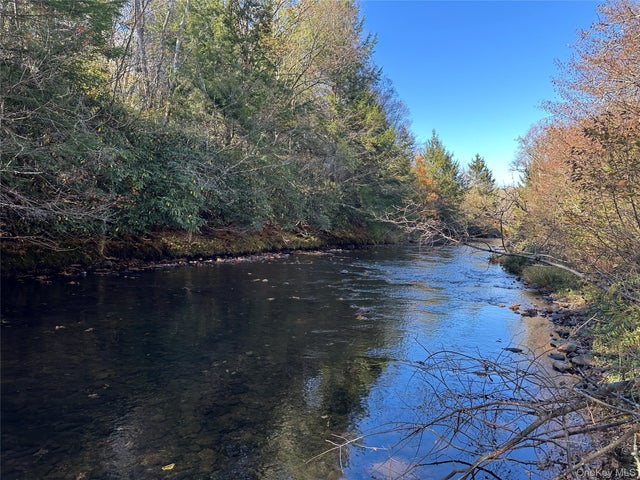 00 Old Route 17, Livingston Manor