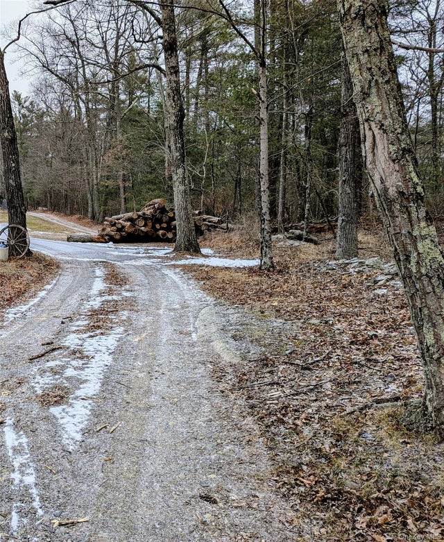 Stove Pipe Alley, Red Hook