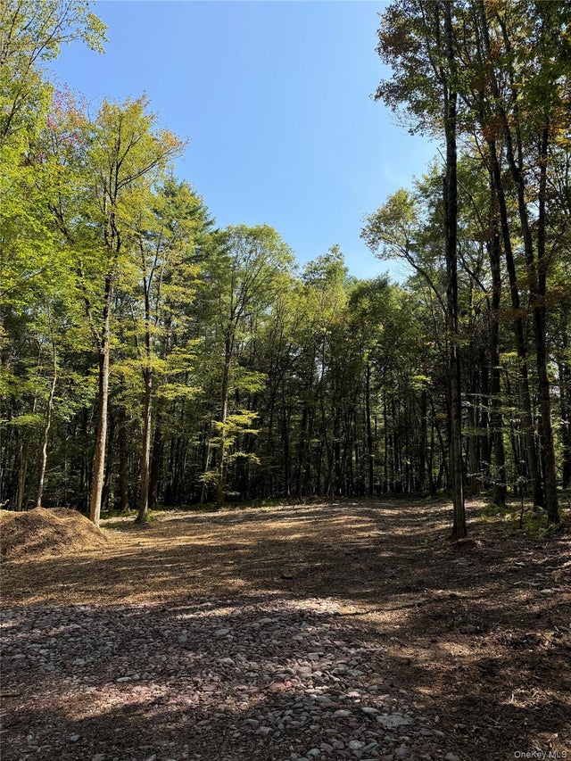 Lot 2 Evergreen Lane, Narrowsburg