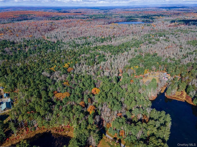 1 Philwold Road, Forestburgh