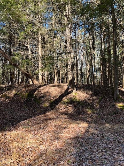 198 W Starlight Drive, Smallwood