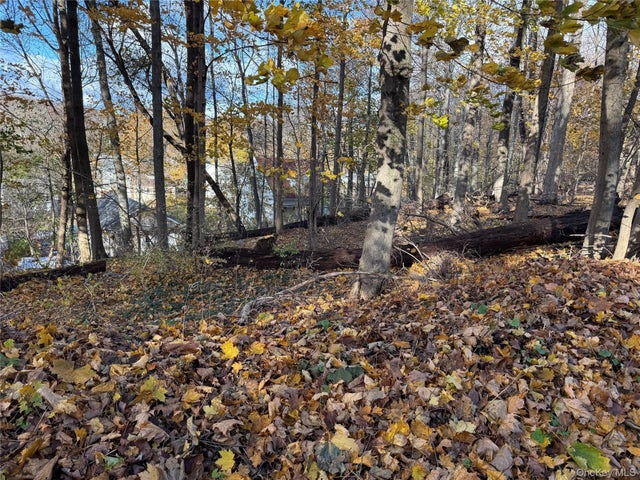 Harvard Drive, Carmel