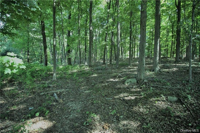 58-62 Walmer Lane, Cold Spring