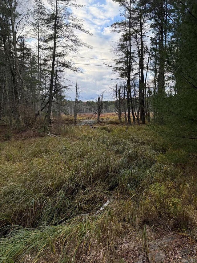 Puckyhuddle Road, Bethel