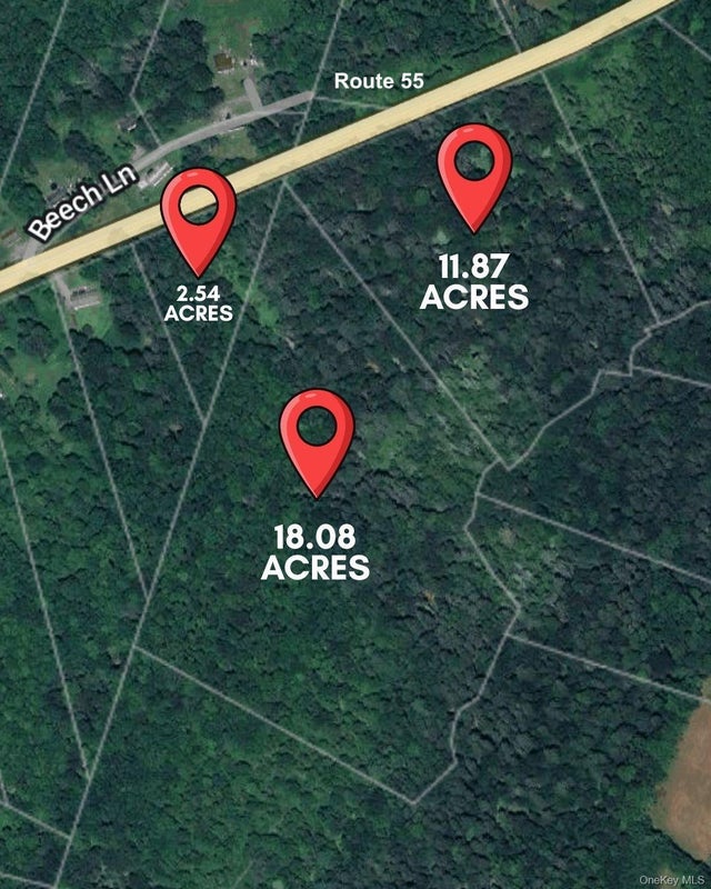 3 Lots Neversink Road, Liberty