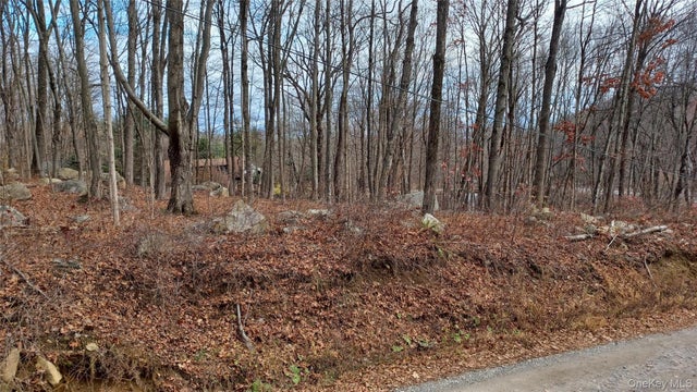 4 Prout Lane, Stormville