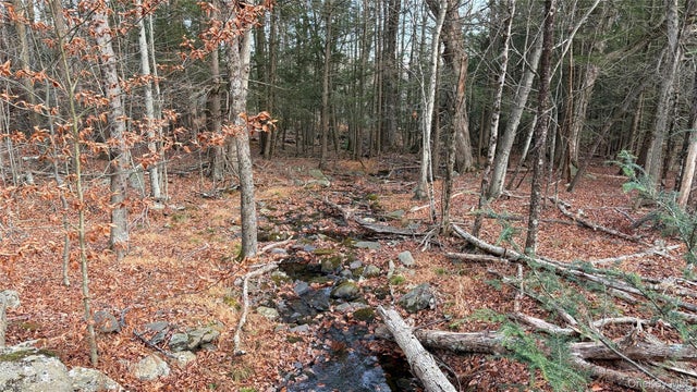 X Aldrich Road, Wurtsboro