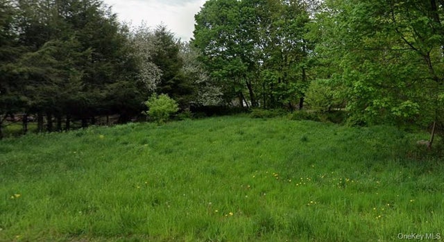 Floral Drive, Monticello