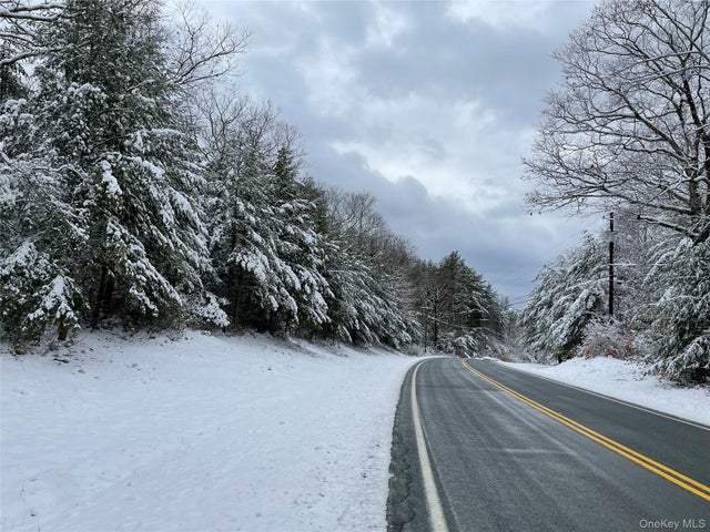 1315 Sackett Lake Rd, Forestburgh