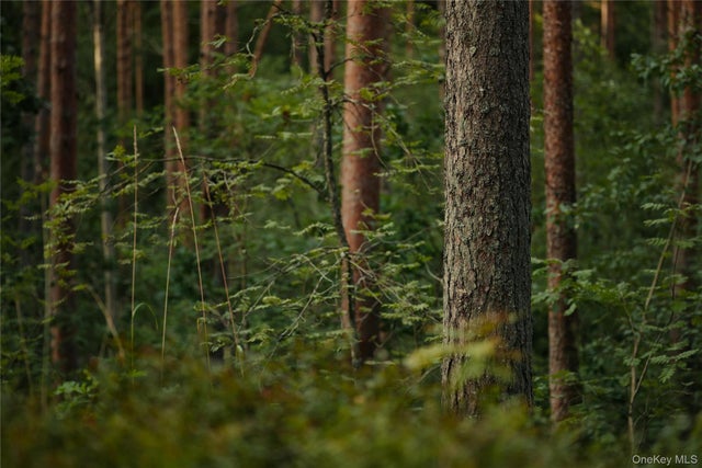 Photo of Listing #944328