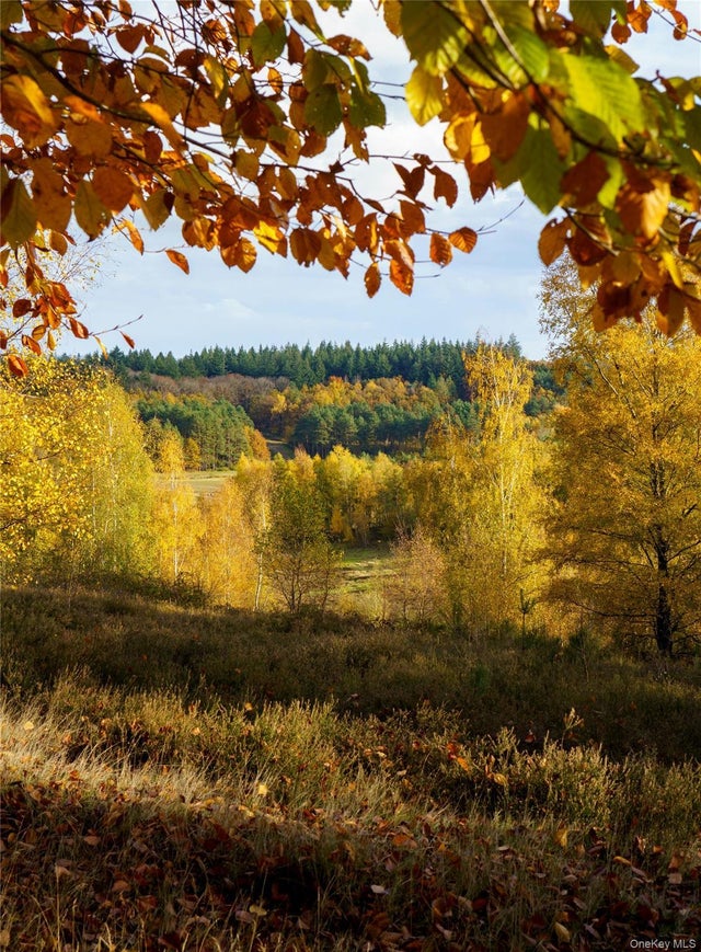 Photo of Listing #944333