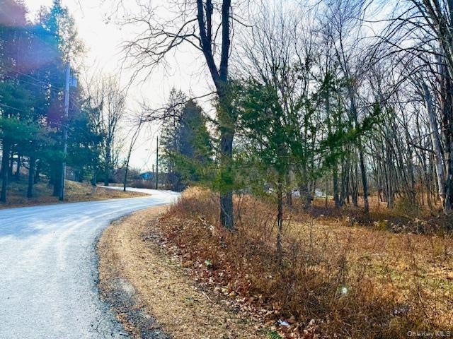 56 Route 209, Port Jervis