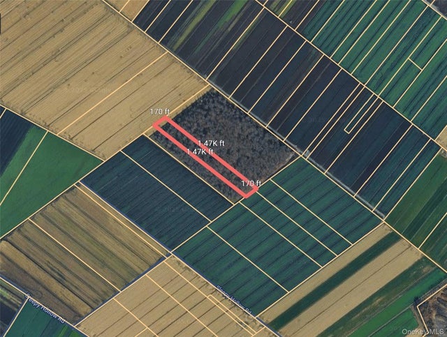 Gale Street, Florida