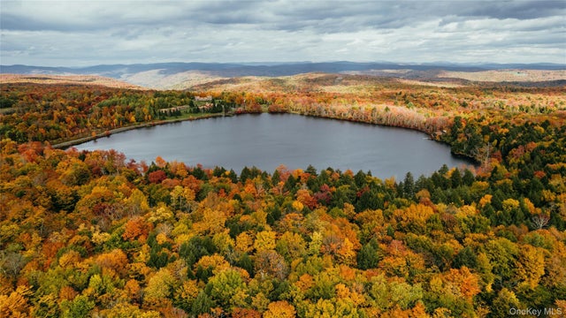 Lot 9 Wood Lake Trail, Roscoe