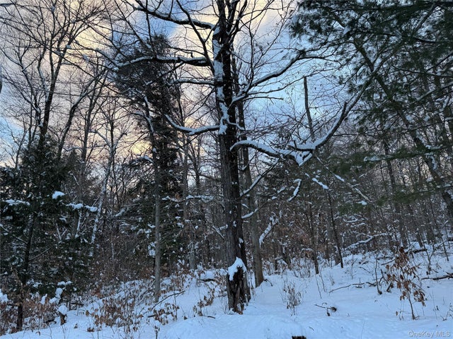 00 Starlight Road, Monticello