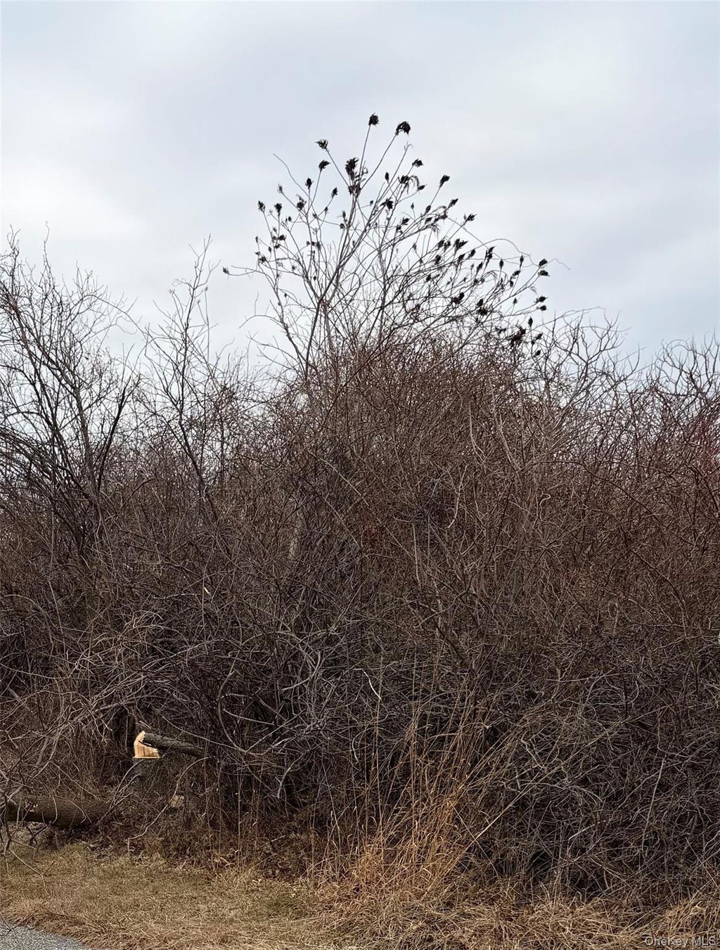 18 Homeward Lane, Montauk