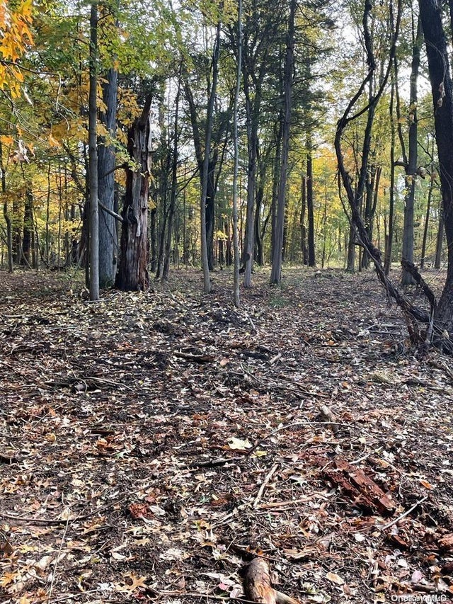 15 Tammy Trail, Athens