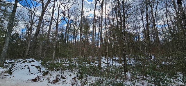 Lot 82 Perry Pond Road, Narrowsburg