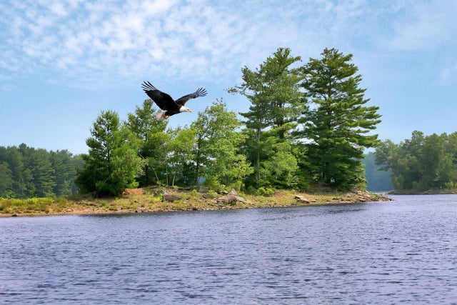 Whispering Woods Drive, Mongaup Valley