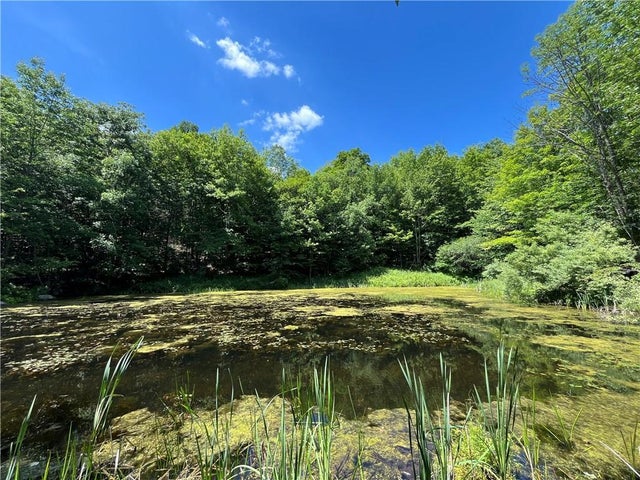 Dahlia Lot 2 Road, Livingston Manor