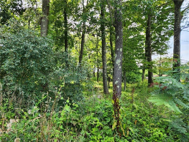 Photo of Listing #H6320539