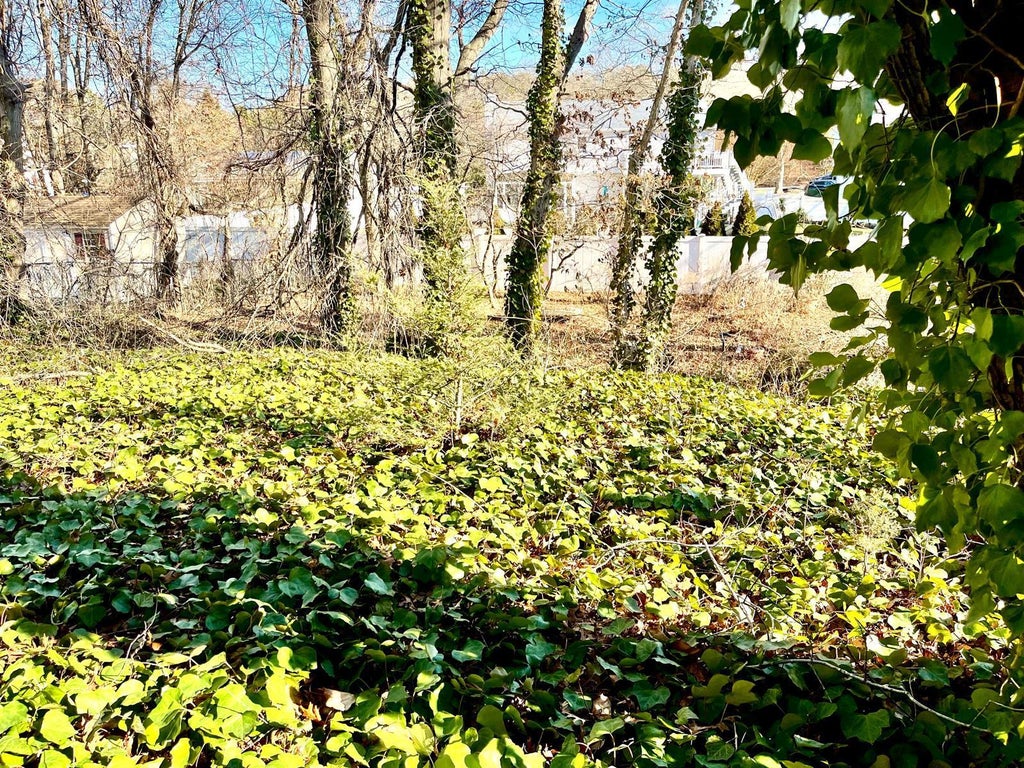 37 of 43 - 49 Fulham Lane, Holbrook, NY